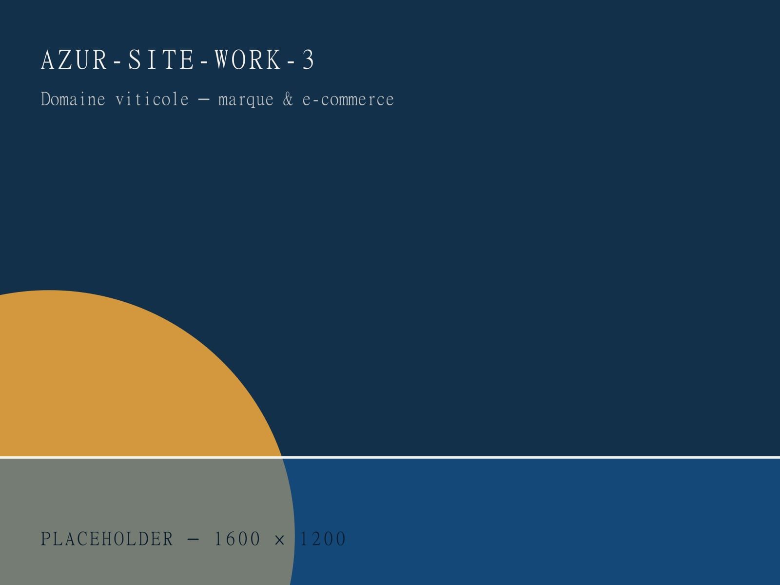 Domaine viticole — marque et e-commerce.